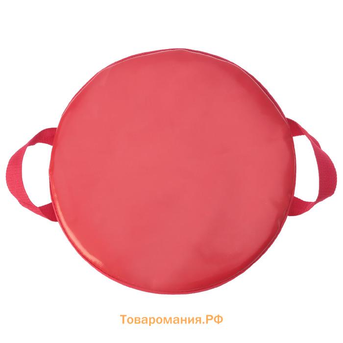 Санки-ледянки №74 «Дракончик со сноубордом», d=35 см