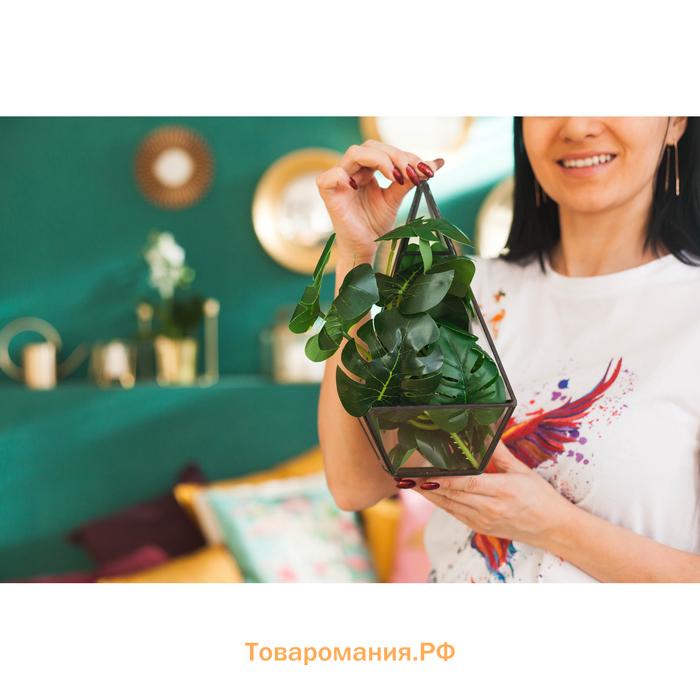 Флорариум каркас, 13×24 см, чёрный