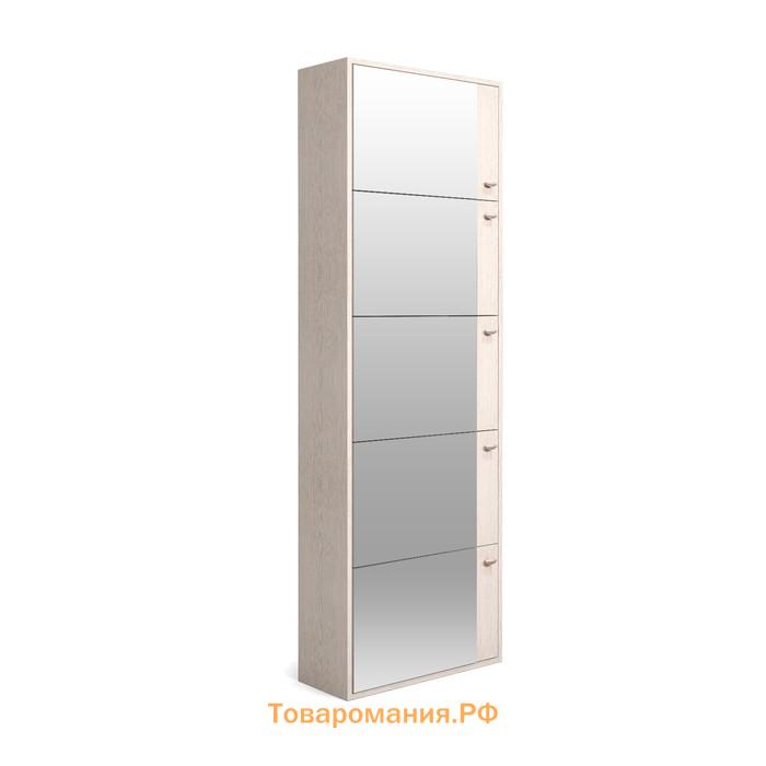 Обувница в прихожую «Клик Мебель. Родная», 5 ящиков, с зеркалом, 600×230×1780 мм, цвет тёмно-серый