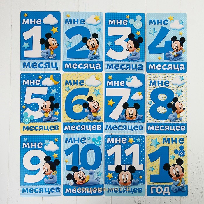 Набор карточек для фотосессий, Микки Маус, 10х15 см
