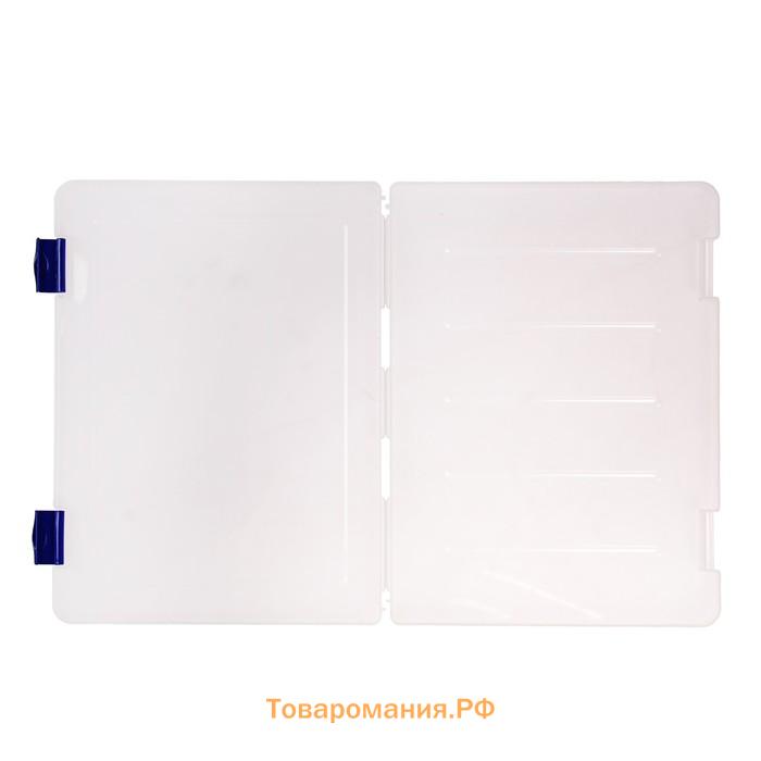 Папка для документов А4 Стамм, 230 х 305 х 23 мм, пластик, прозрачный корпус, синие защелки