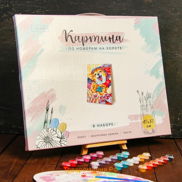 Картина по номерам на холсте с подрамником «Корги с игрушкой», 40×50 см