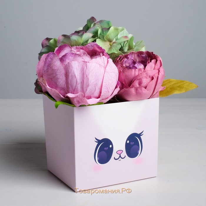 Коробка для цветов с топпером «Котик», 11 х 12 х 10 см