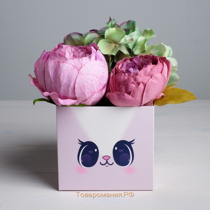 Коробка для цветов с топпером «Котик», 11 х 12 х 10 см