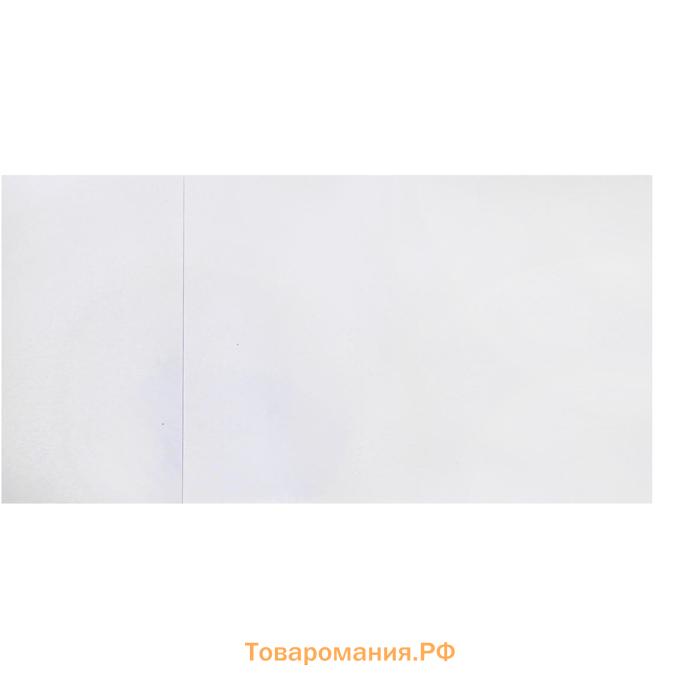 Альбом для рисования А4, 40 листов, блок 120 г/м², на клею, ErichKrause «Корги», 100% белизна, твёрдая подложка