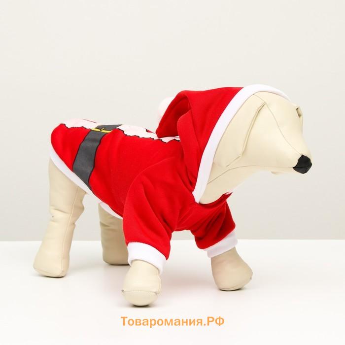 Толстовка Santa, S  (ДС 25,  ОГ 35 см)