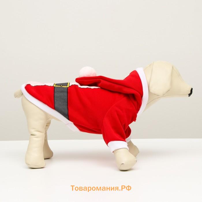 Толстовка Santa, S  (ДС 25,  ОГ 35 см)