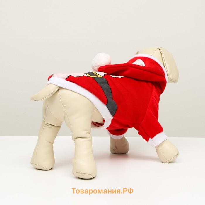 Толстовка Santa, S  (ДС 25,  ОГ 35 см)