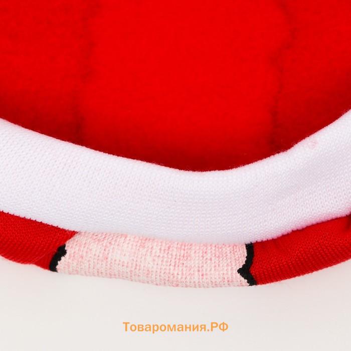 Толстовка Santa, S  (ДС 25,  ОГ 35 см)