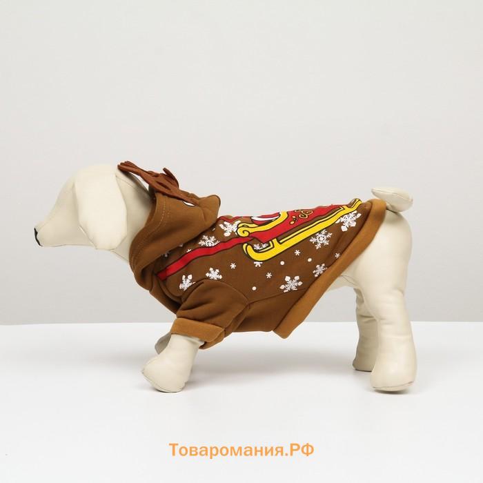 Толстовка "Олень с рожками", XS (ДС 20, ОГ 30 см)