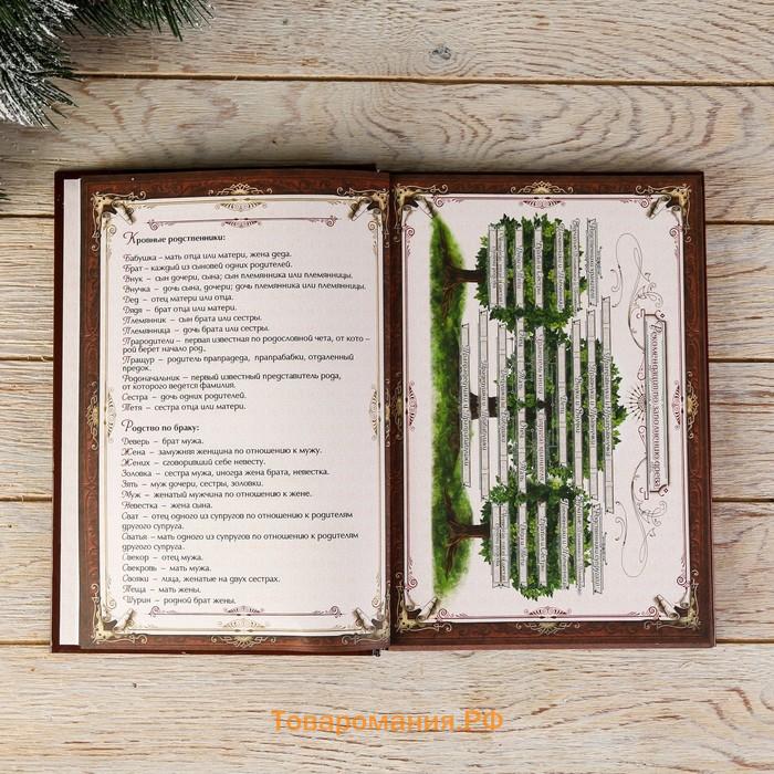 Родословная книга в шкатулке «Сказочного Нового года», 26×8×27 см