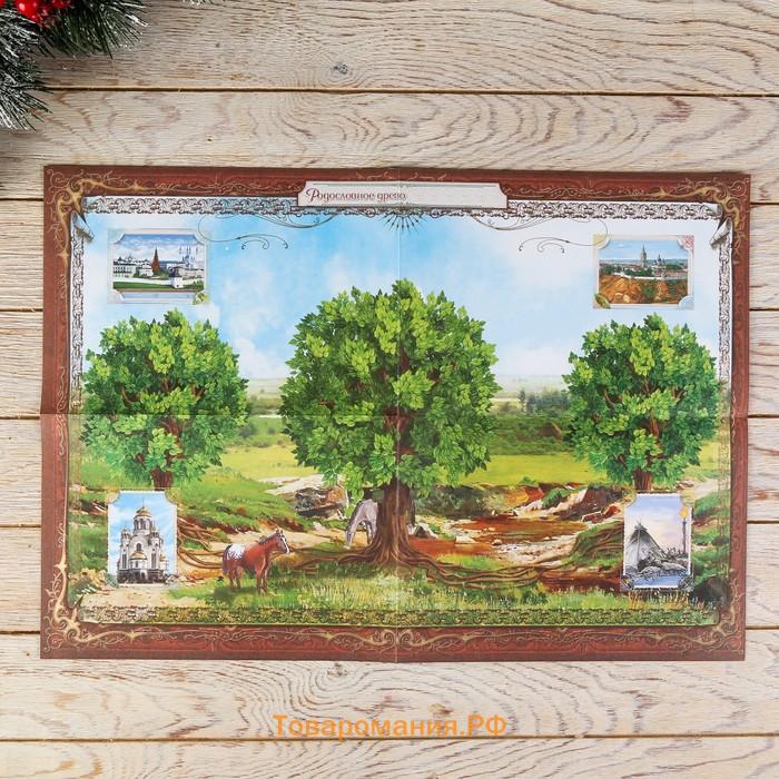 Родословная книга в шкатулке «Сказочного Нового года», 26×8×27 см