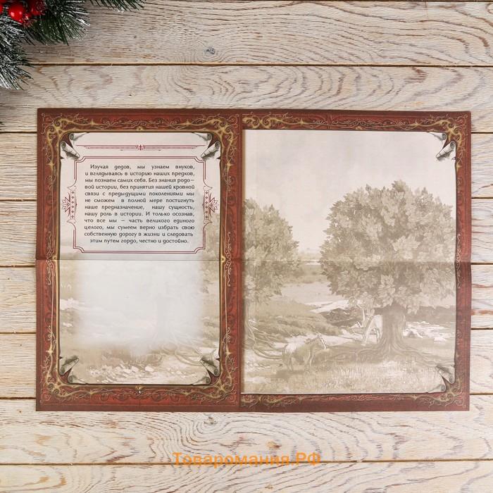 Родословная книга в шкатулке «Сказочного Нового года», 26×8×27 см
