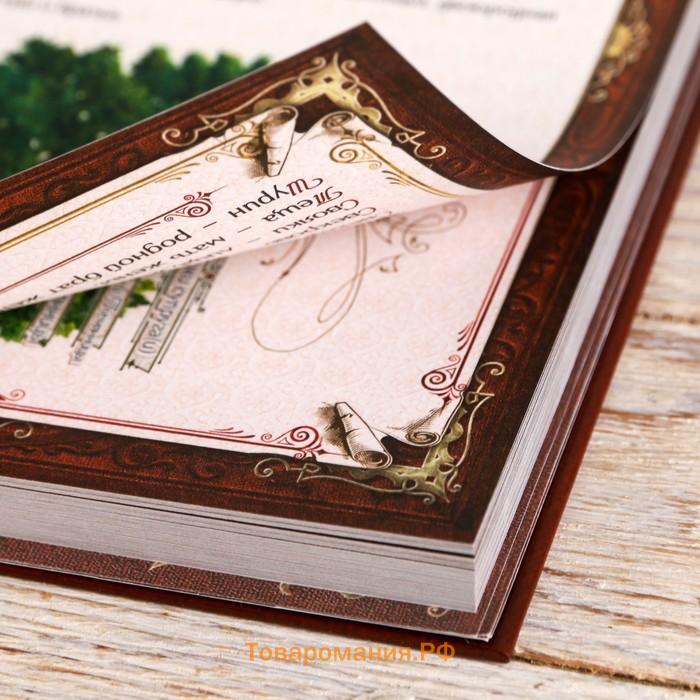 Родословная книга в шкатулке «Сказочного Нового года», 26×8×27 см