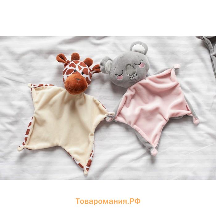 Подарочный набор «Коала», мягкая игрушка, держатель для пустышки