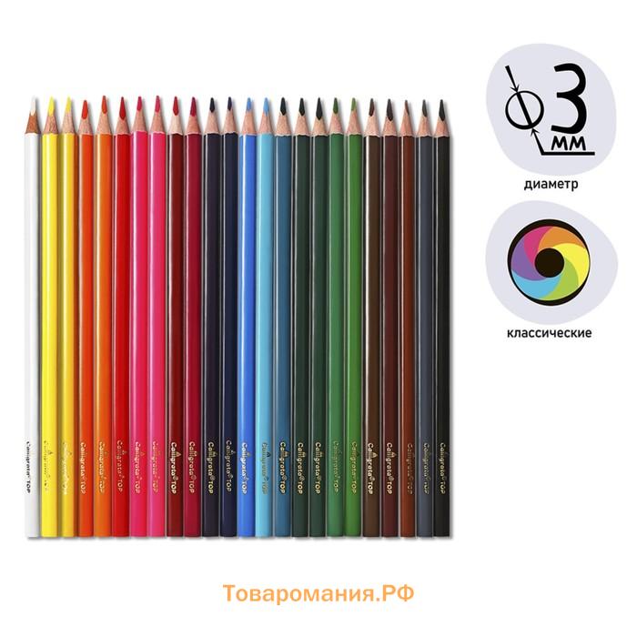 Карандаши 24 цветов TOP Calligrata, супермягкие, в картонной коробке, диаметр грифеля - 3 мм, 5B