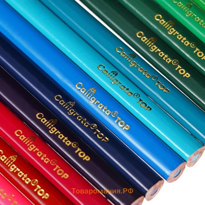 Карандаши 24 цветов TOP Calligrata, супермягкие, в картонной коробке, диаметр грифеля - 3 мм, 5B