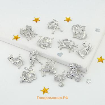 Брошь «Знаки зодиака» ассорти, гороскоп, белая в серебре
