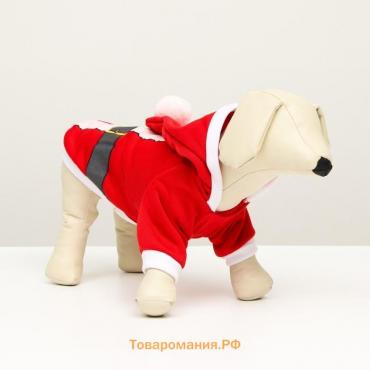 Толстовка Santa, S  (ДС 25,  ОГ 35 см)