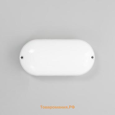 Светильник "Овал" LED 20Вт IP65 белый 6,8х13,5х27 см