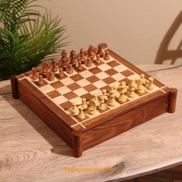 Игра настольная 3 в 1, шахматы, домино, кубики, доска 35×35 см, дерево шишам