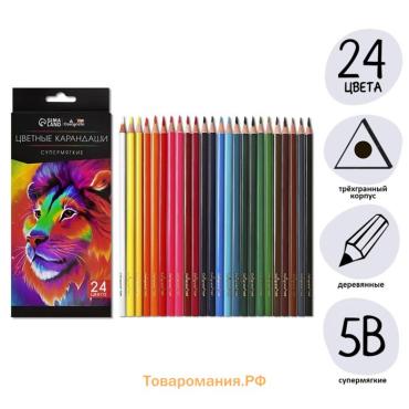 Карандаши 24 цветов TOP Calligrata, супермягкие, в картонной коробке, диаметр грифеля - 3 мм, 5B