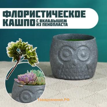Флористическое кашпо «Совёнок», 6.5×6.5×6 см, пластик, с вкладышем из пенопласта, серое